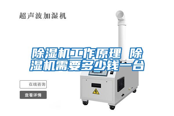 除濕機工作原理 除濕機需要多少錢一臺