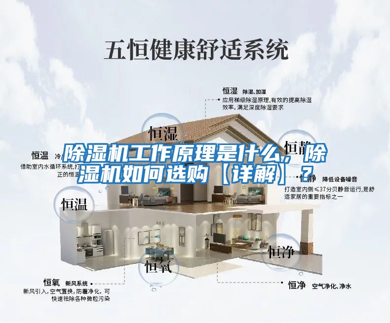 除濕機(jī)工作原理是什么，除濕機(jī)如何選購【詳解】？