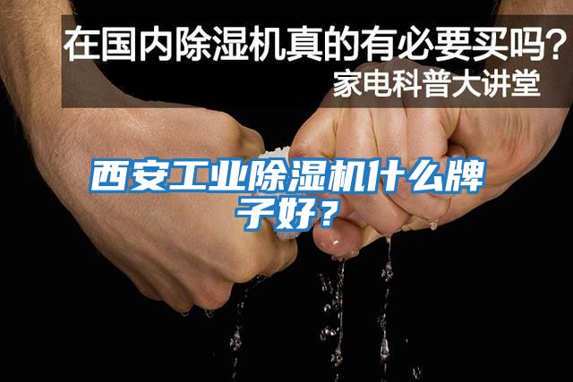 西安工業(yè)除濕機什么牌子好？