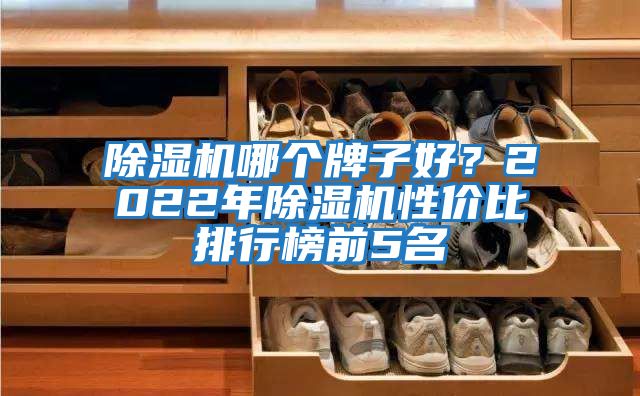 除濕機哪個牌子好？2022年除濕機性價比排行榜前5名