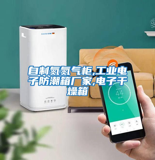 自制氮氮氣柜,工業(yè)電子防潮箱廠家,電子干燥箱