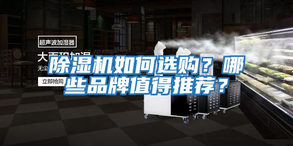 除濕機如何選購？哪些品牌值得推薦？