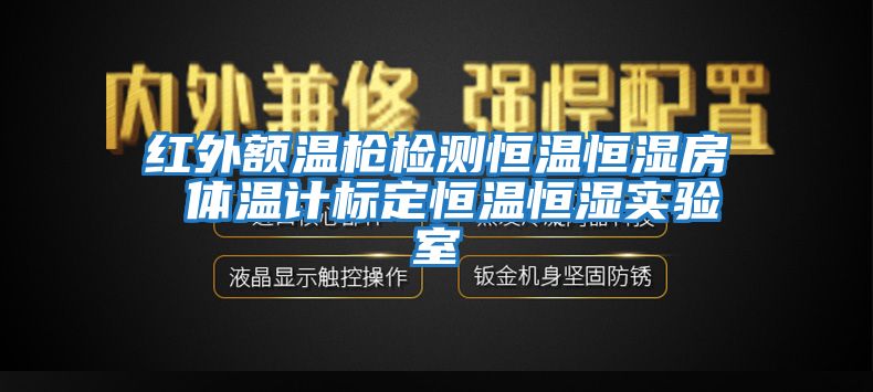 紅外額溫槍檢測(cè)恒溫恒濕房 體溫計(jì)標(biāo)定恒溫恒濕實(shí)驗(yàn)室