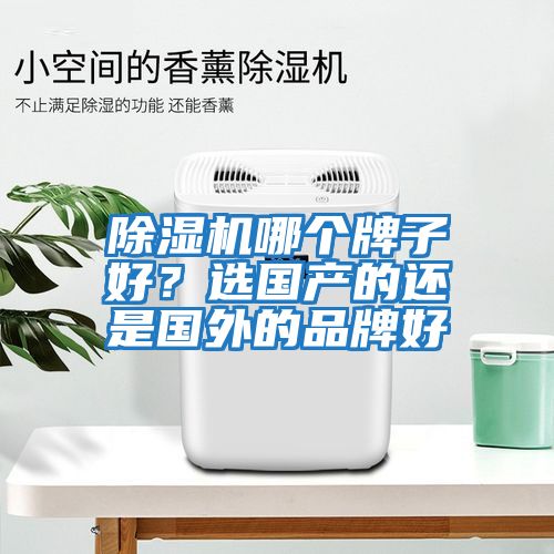 除濕機哪個牌子好？選國產(chǎn)的還是國外的品牌好