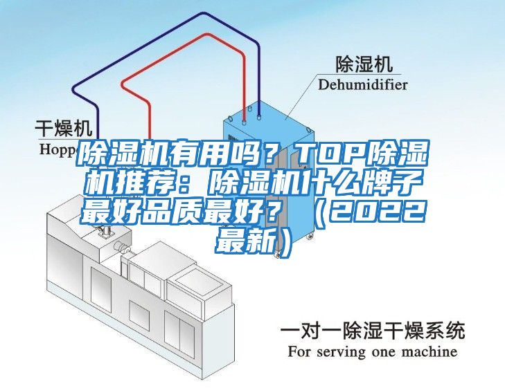 除濕機(jī)有用嗎？TOP除濕機(jī)推薦：除濕機(jī)什么牌子最好品質(zhì)最好？（2022最新）