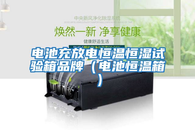 電池充放電恒溫恒濕試驗(yàn)箱品牌（電池恒溫箱）