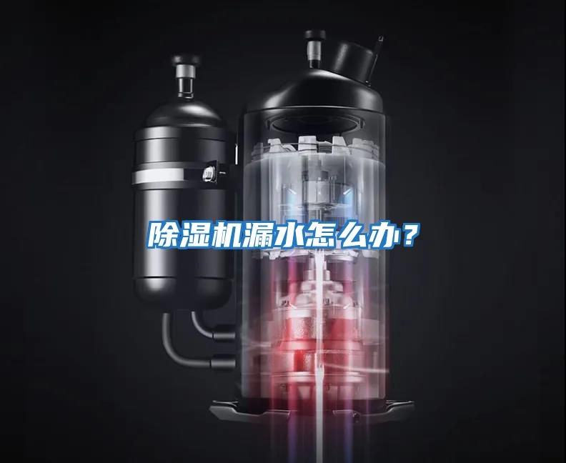 除濕機漏水怎么辦？