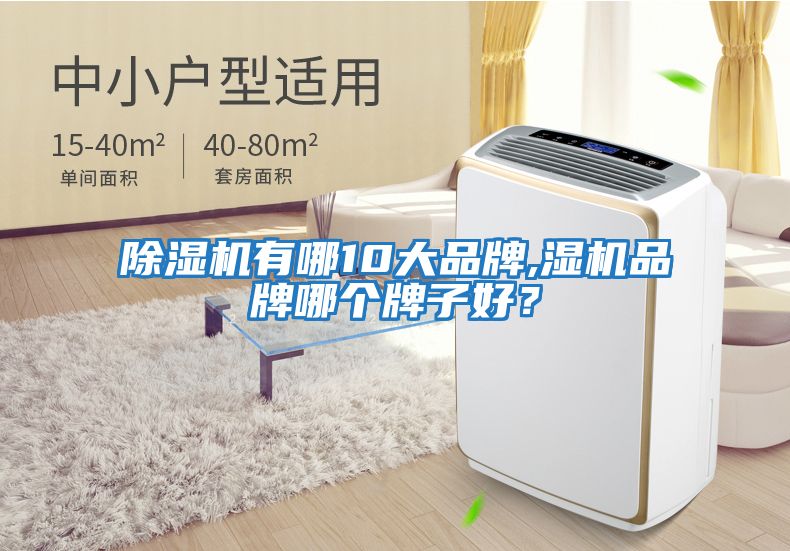 除濕機(jī)有哪10大品牌,濕機(jī)品牌哪個牌子好？