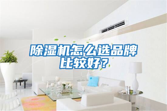 除濕機怎么選品牌比較好？