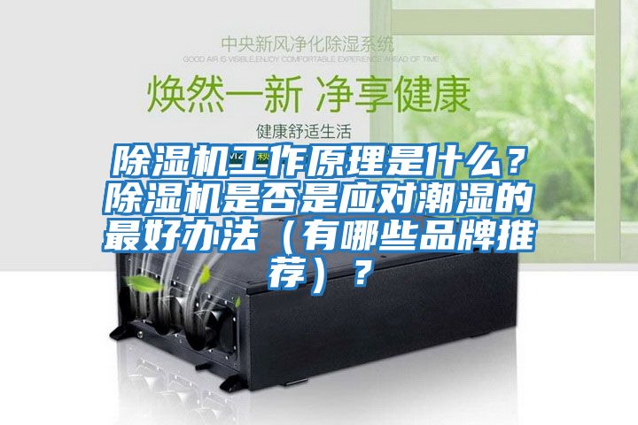 除濕機(jī)工作原理是什么？除濕機(jī)是否是應(yīng)對潮濕的最好辦法（有哪些品牌推薦）？