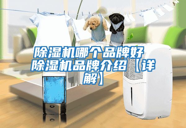 除濕機(jī)哪個(gè)品牌好 除濕機(jī)品牌介紹【詳解】