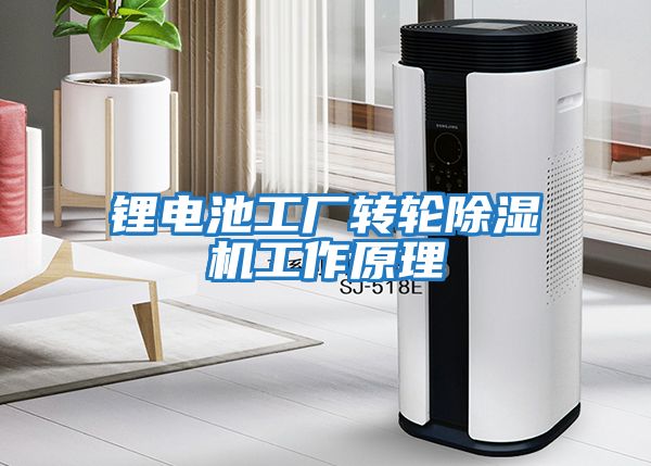 鋰電池工廠轉(zhuǎn)輪除濕機(jī)工作原理