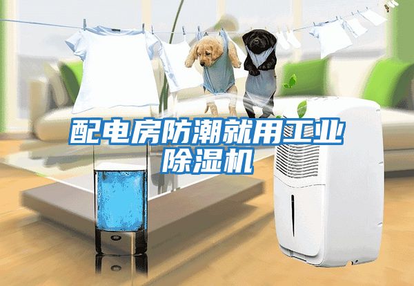 配電房防潮就用工業(yè)除濕機(jī)