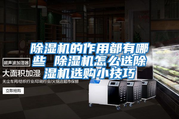 除濕機的作用都有哪些 除濕機怎么選除濕機選購小技巧