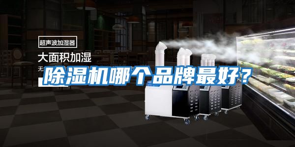 除濕機哪個品牌最好？