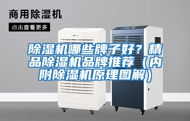 除濕機哪些牌子好？精品除濕機品牌推薦（內附除濕機原理圖解）