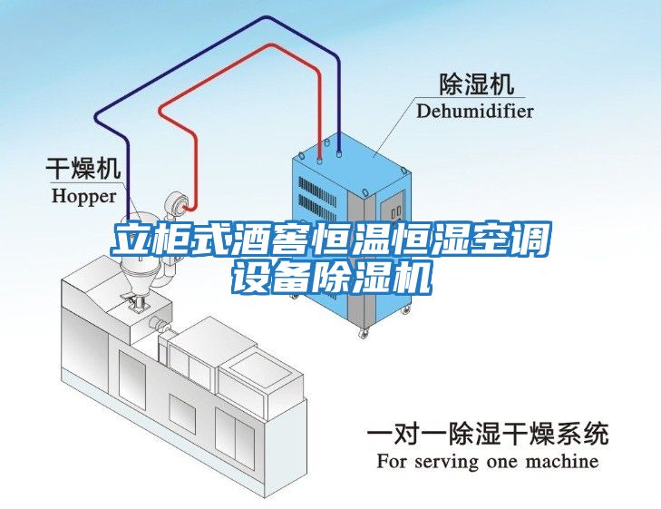 立柜式酒窖恒溫恒濕空調(diào)設(shè)備除濕機