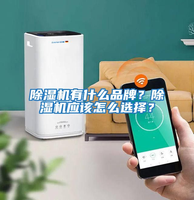 除濕機有什么品牌？除濕機應該怎么選擇？