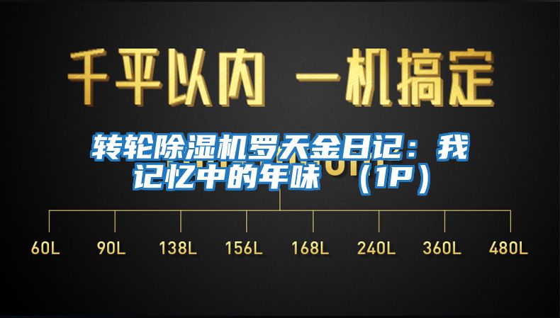 轉(zhuǎn)輪除濕機羅天金日記：我記憶中的年味 （1P）