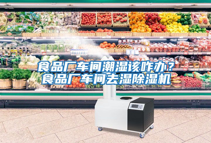 食品廠車間潮濕該咋辦？食品廠車間去濕除濕機(jī)