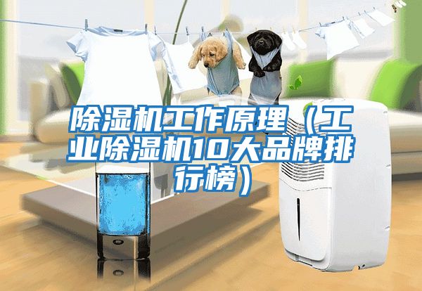 除濕機工作原理（工業(yè)除濕機10大品牌排行榜）