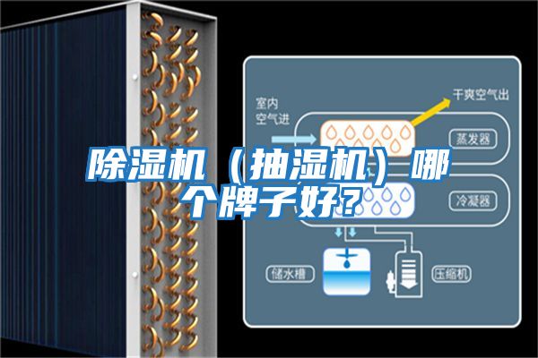 除濕機(jī)（抽濕機(jī)）哪個牌子好？