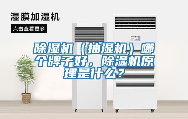 除濕機（抽濕機）哪個牌子好，除濕機原理是什么？