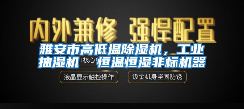 雅安市高低溫除濕機，工業(yè)抽濕機  恒溫恒濕非標機器