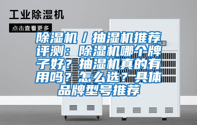 除濕機／抽濕機推薦評測：除濕機哪個牌子好？抽濕機真的有用嗎？怎么選？具體品牌型號推薦