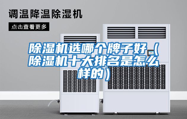 除濕機(jī)選哪個牌子好（除濕機(jī)十大排名是怎么樣的）