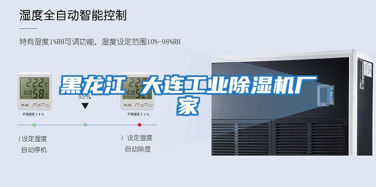 黑龍江 大連工業(yè)除濕機廠家