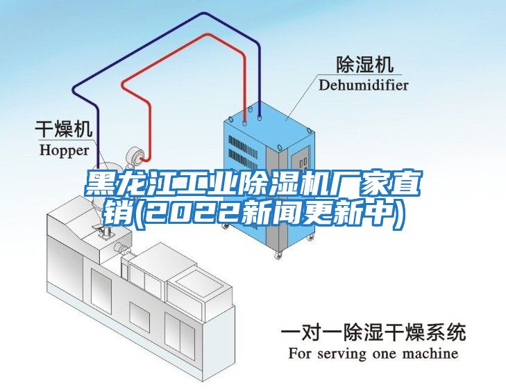 黑龍江工業(yè)除濕機廠家直銷(2022新聞更新中)