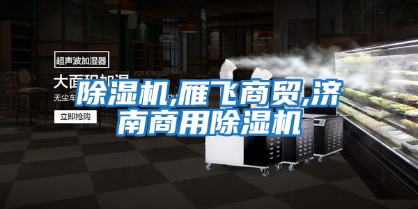 除濕機,雁飛商貿(mào),濟南商用除濕機