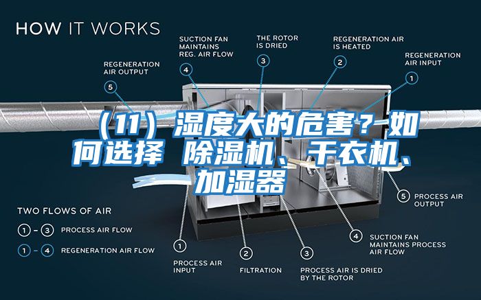 （11）濕度大的危害？如何選擇 除濕機、干衣機、加濕器