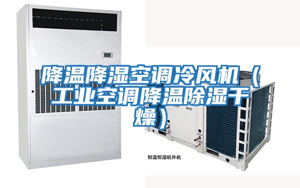 降溫降濕空調冷風機（工業(yè)空調降溫除濕干燥）