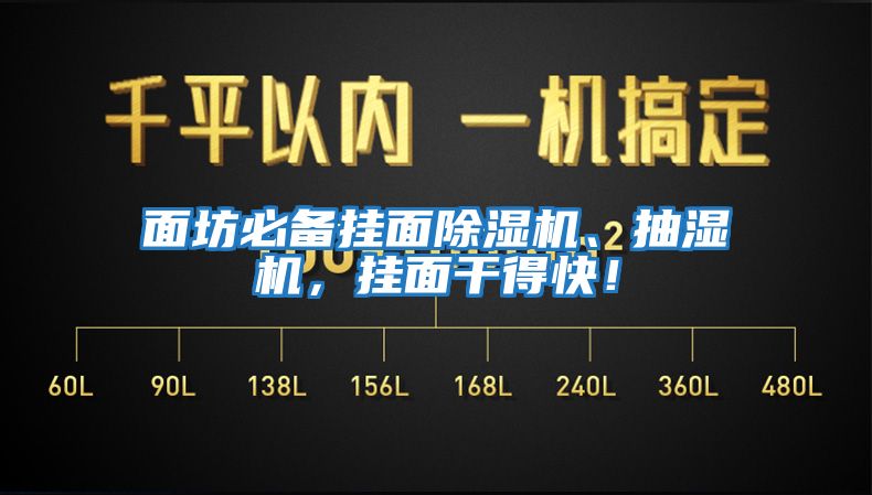 面坊必備掛面除濕機、抽濕機，掛面干得快！