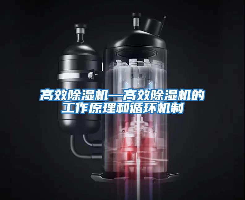 高效除濕機—高效除濕機的工作原理和循環(huán)機制