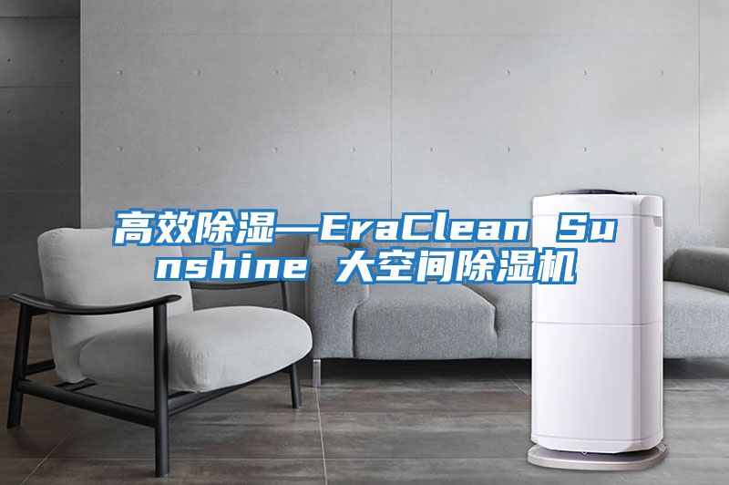 高效除濕—EraClean Sunshine 大空間除濕機