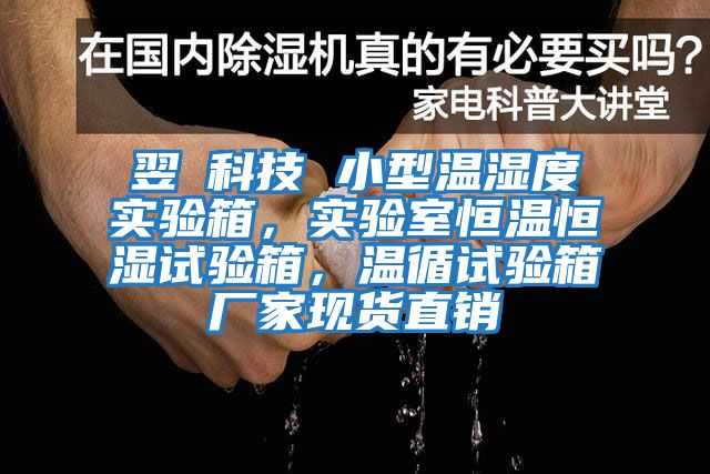 翌昇科技 小型溫濕度實驗箱，實驗室恒溫恒濕試驗箱，溫循試驗箱廠家現貨直銷