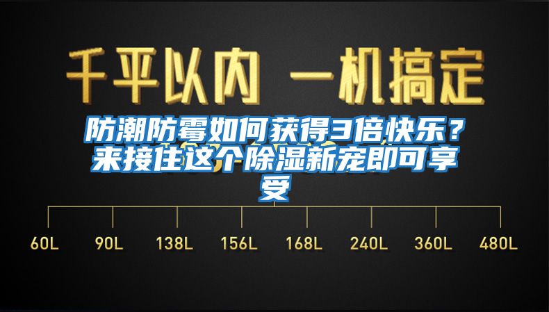 防潮防霉如何獲得3倍快樂？來接住這個除濕新寵即可享受